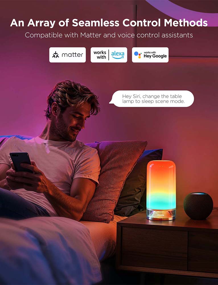 Govee Table Lamp 2